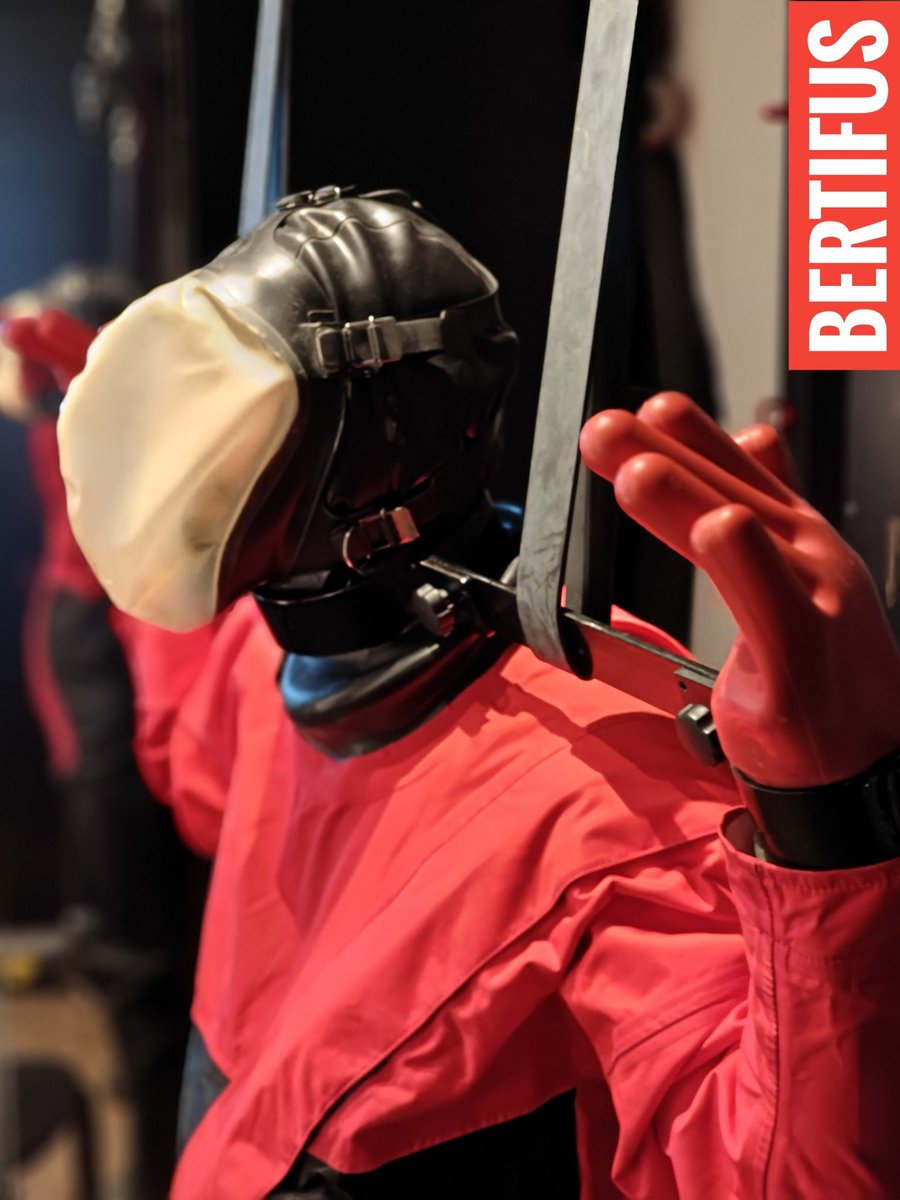 bertifus🔜 04Korea, 05Berlin,06Paris tweet media