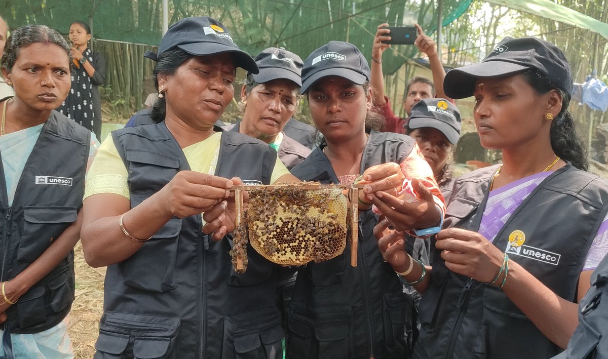 InstituteTies's tweet image. Workshop Strengthens Sustainable Livelihoods for Beekeepers at Keystone Foundation, Kotagiri

Learn more : ties.org.in/News/WorkshopS… 

#TIESinstitute #keystonefoundation #apiculturetraining #hone #beewax #kotagiri #tamilnadu #kottayam #kerala #awareness #beekeepers