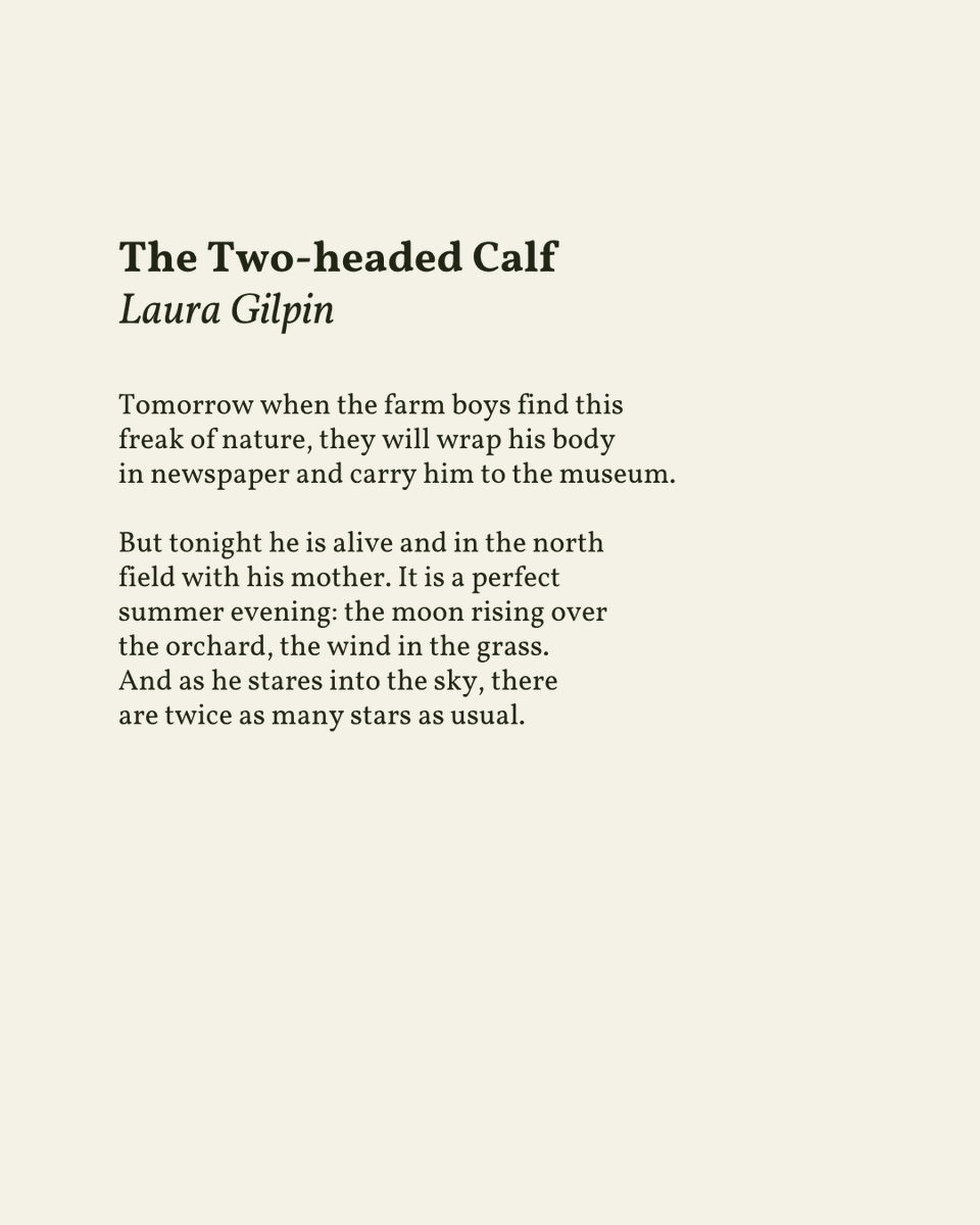 readalittlepoem's tweet image. “But tonight he is alive and in the north / field with his mother.”

— Laura Gilpin

.
.
.

This poem appeared in The Hocus Pocus of the Universe by Laura Gilpin, published by Doubleday, 1977. Shared here with deep gratitude.