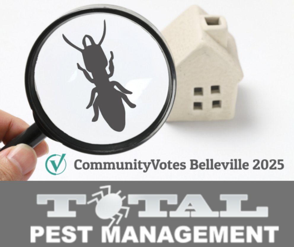 TotalPestManage's tweet image. Please consider voting for us in CommunityVotes Belleville in the pest exterminator category. We appreciate it. bit.ly/3LqS0IF 

#pests #pestmanagement #bellevilleontario