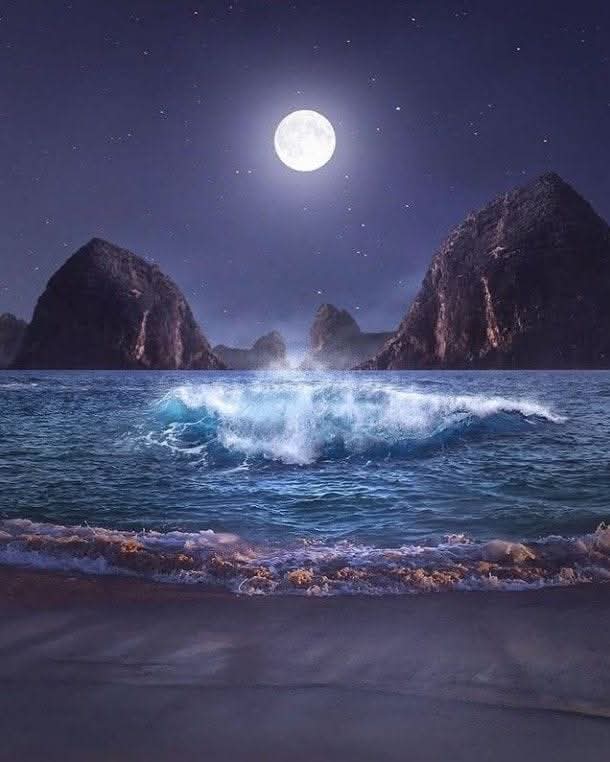 Good night and happy dreams 🌹😴🌷🌠🪻💫🌺💖🌙💖