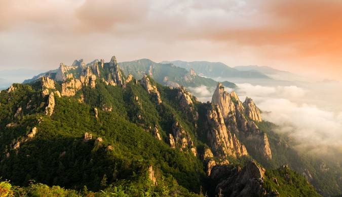 GROOT 🌊RIVER tweet media