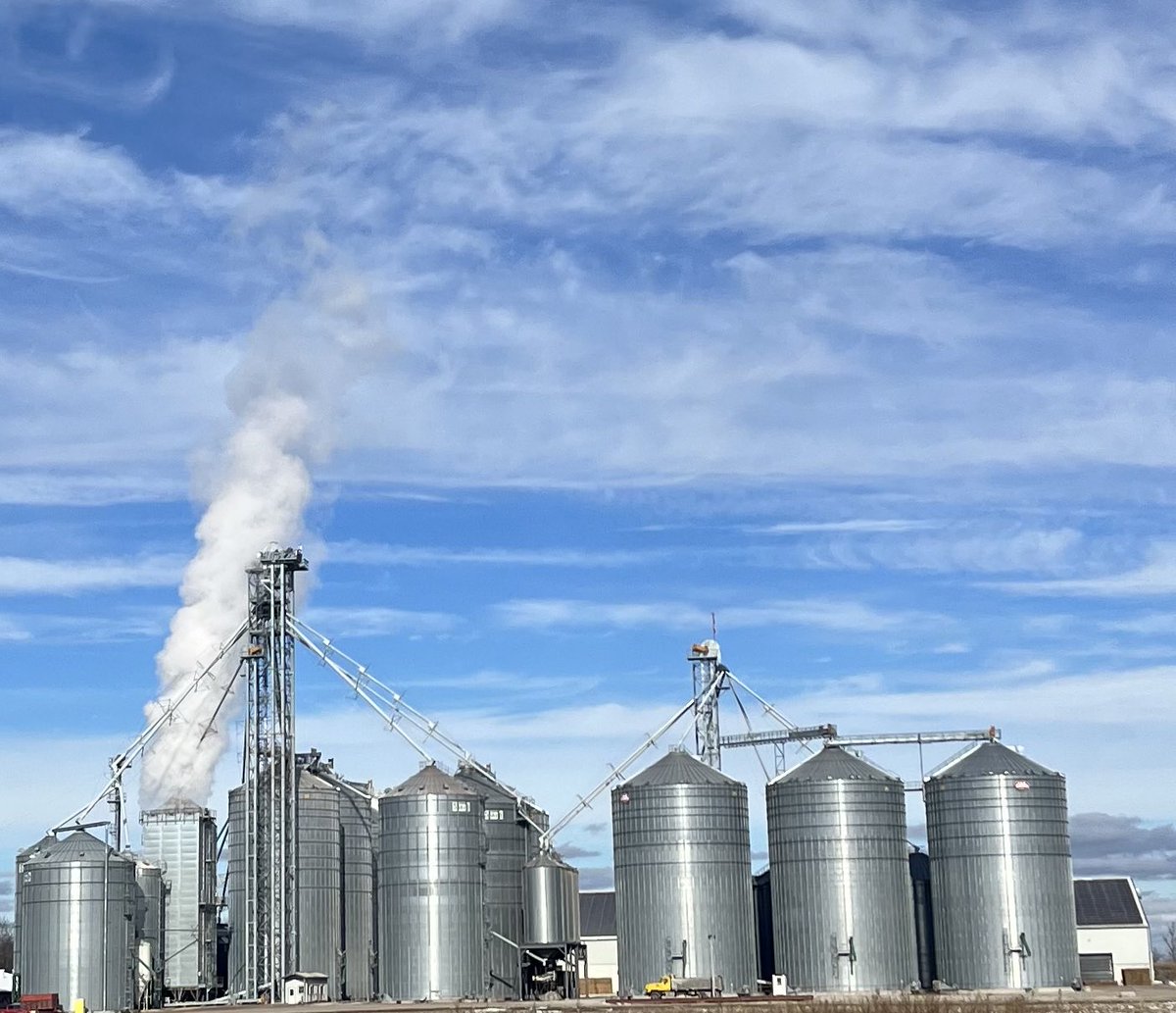 V.D.B. Grains Ltd tweet media