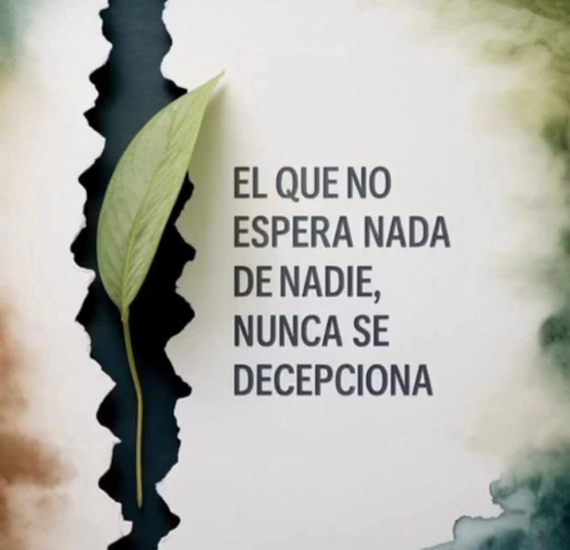 VidaEquilibrad4's tweet image. 