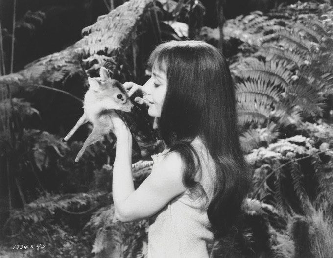 syrenika's tweet image. 