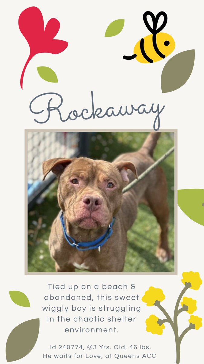 notthesameone2's tweet image. Rockaway is under kill command: