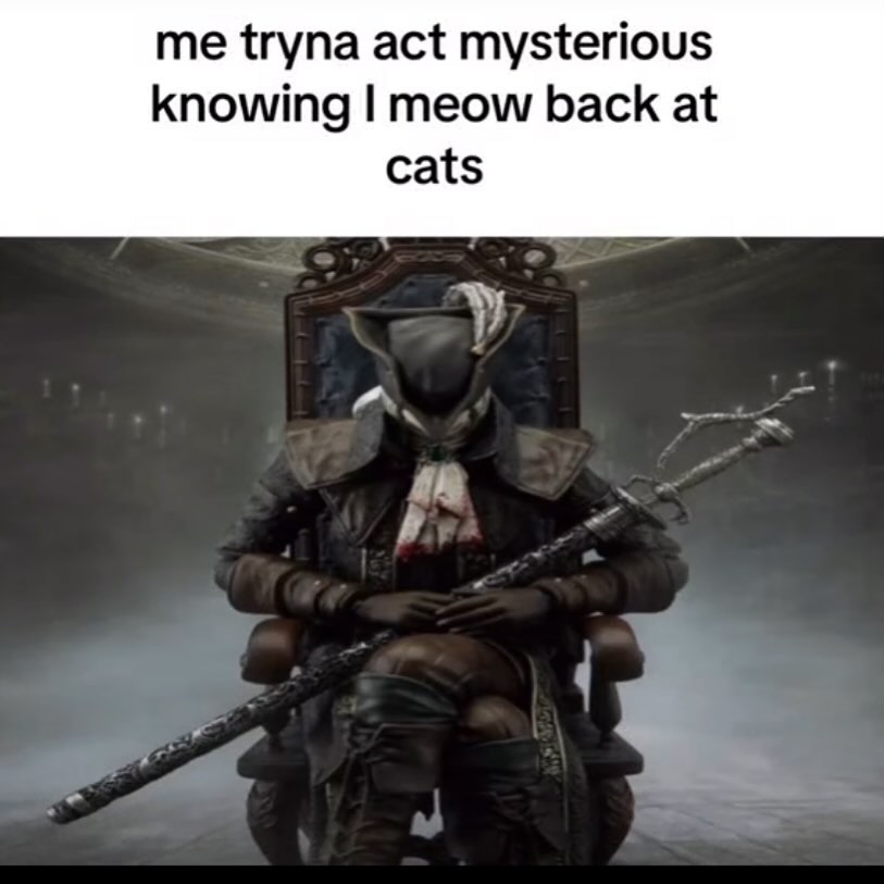 Punch Cat (@punchingcat) on Twitter photo 