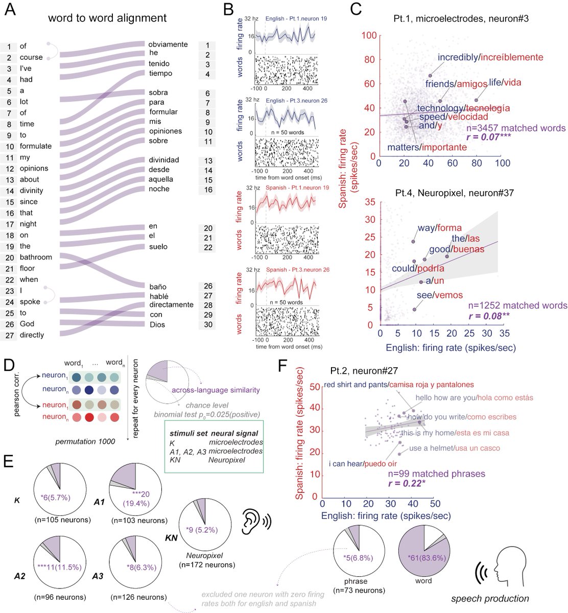XinyuanYan's tweet image. Shared neural geometries for bilingual semantic representations. 

Hippocampal neurons encode a language-independent internal model for meaning.  

Many thanks to the whole BCM team!!!

biorxiv.org/content/10.110…