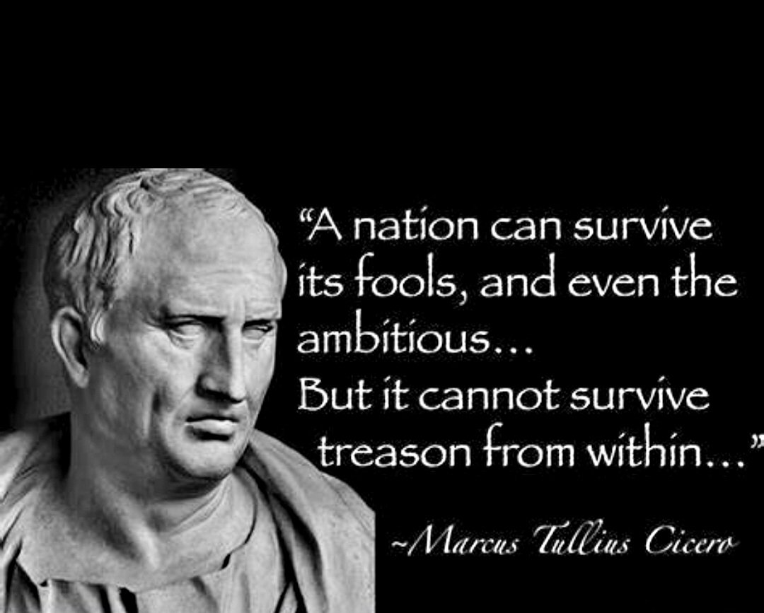 Alpha Wolf 🐺 tweet media