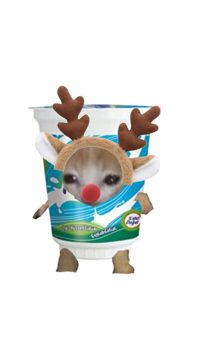 cseurdeenn's tweet image. nasilim