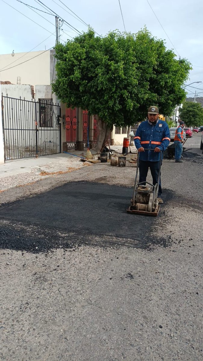 🦺Desde temprano, cuadrillas de la #BrigadaAntibaches trabajan en la reparación de vialidades por distintos puntos de la ciudad.