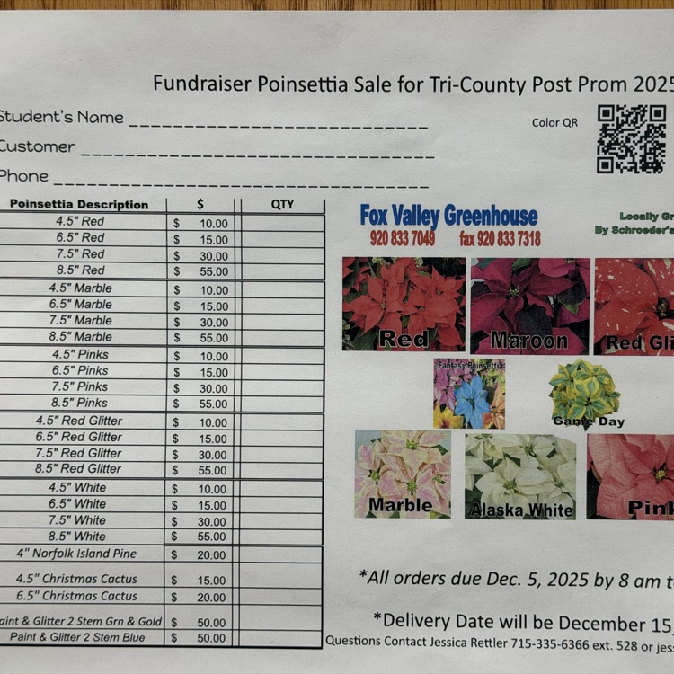 TC PENGUIN NATION tweet media