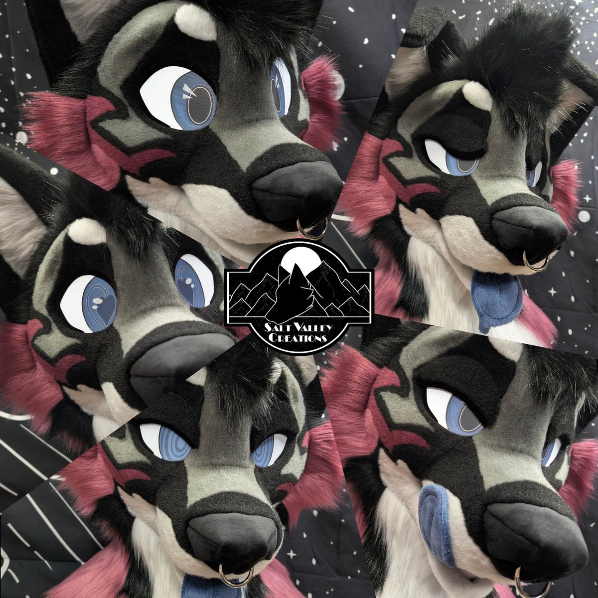 Finch is finished and up for grabs!