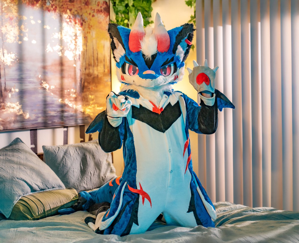 castoshark's tweet photo. New kigu arrived from @furmony 💕
📸:@ChatahSpots https://t.co/x6vEtt2Xog