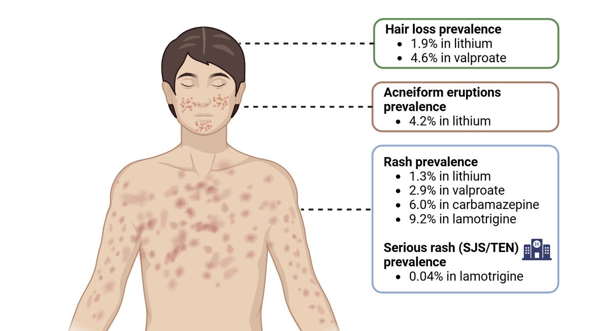 Mete Ercis tweet media