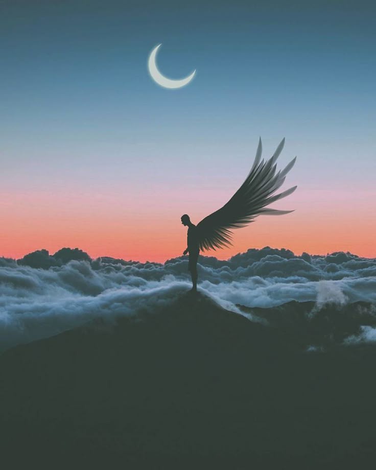 2D_sam's tweet image. GN CT 

Quote of the day from my  scientist Albert Einstein

&quot; In the middle of difficulty lies opportunity&quot; 

Come to @thrustdotcom and feel the culture coin vibes