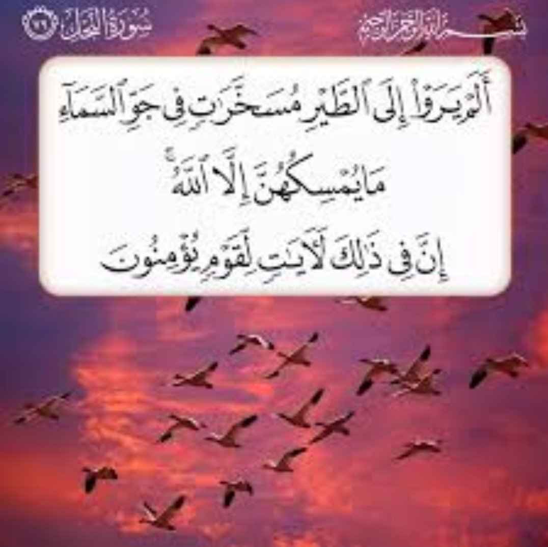 🖐 اِنَّ فِىۡ ذلِكَ لَاٰيٰتٍ لِّـقَوۡمٍ يَّعۡقِلُوۡن

🖐وَسَخَّرَ لَـكُمۡ مَّا فِى السَّمٰوٰتِ وَمَا فِى الۡاَرۡضِ جَمِيۡعًا مِّنۡه

He has subjected to you whatever is in the heavens and whatever is on the earth؛all from Him
Indeed in that are signs for a people who give thought