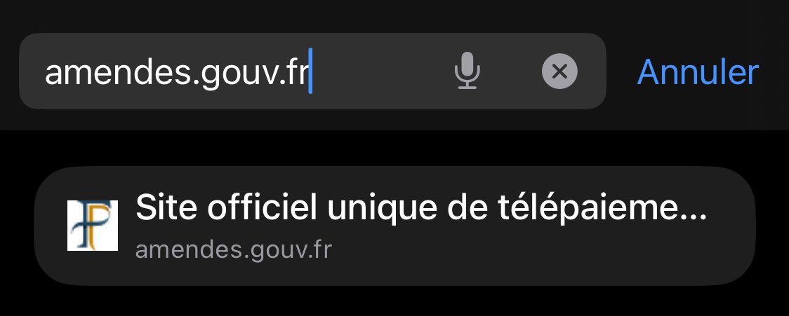 rosalie 🌻 tweet media