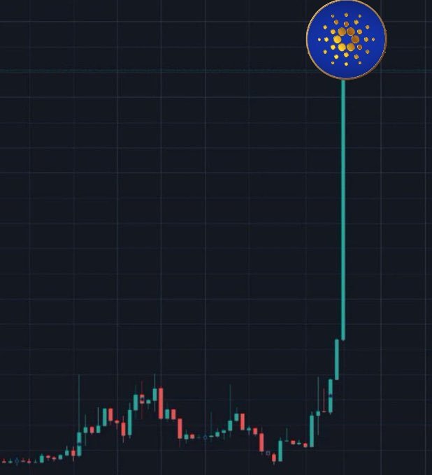 CryptoIRELAND1's tweet photo. What if 2026 is like this 
$ADA https://t.co/vlaeQS4BUO