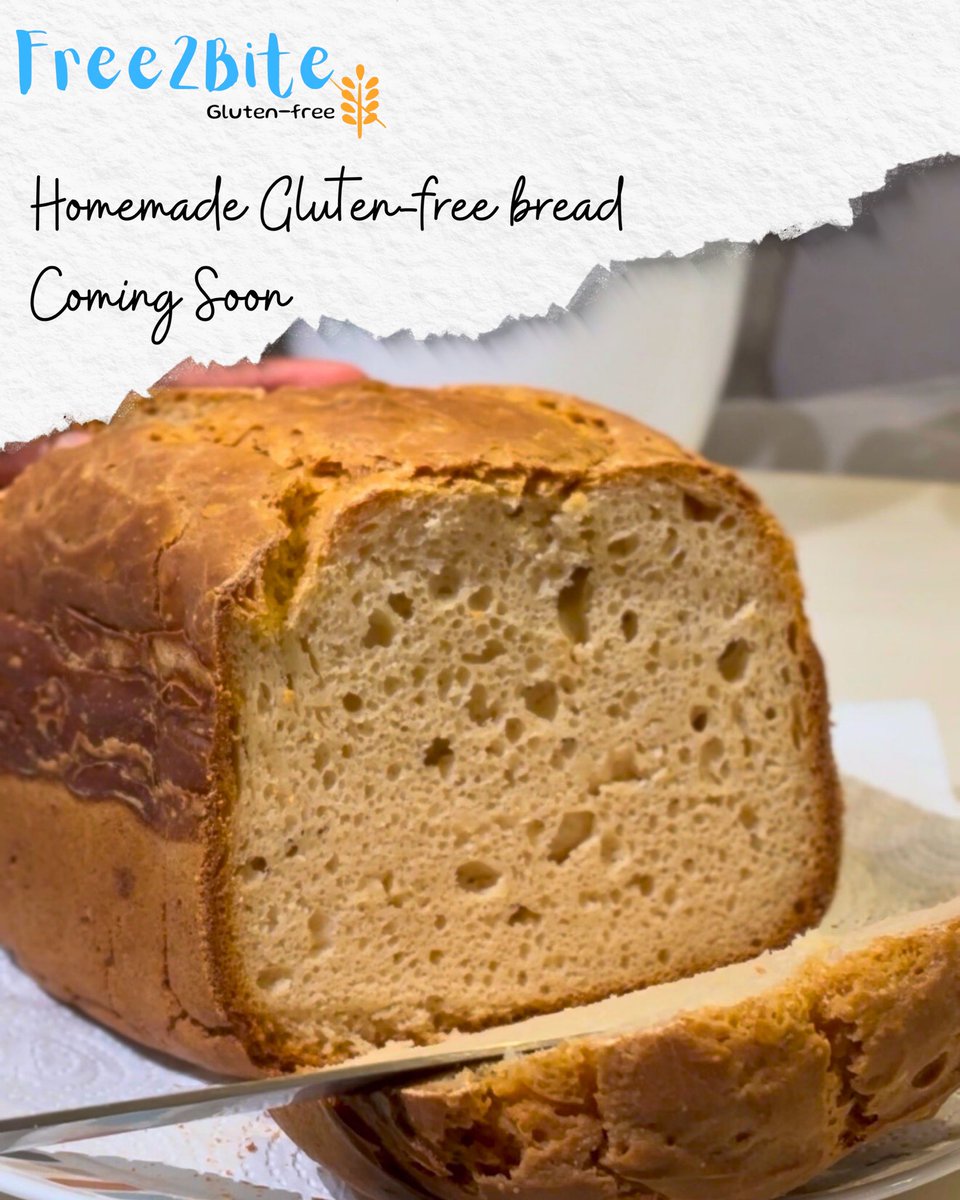 Homemade GF bread loading…

#glutenfree #glutenfreebaking #glutenfreebread #homemadebread #gfcommunity #maldivesfood