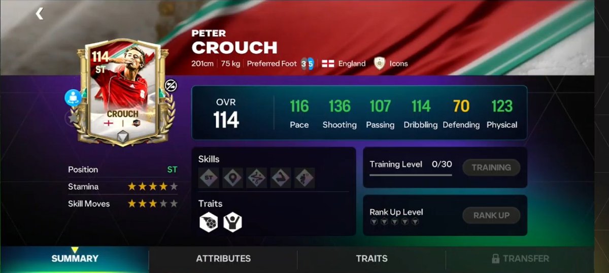 PETER CROUCH 114 ST STATS 🔥💯