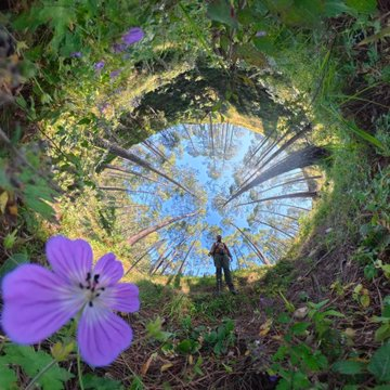 Maria52157's tweet image. 