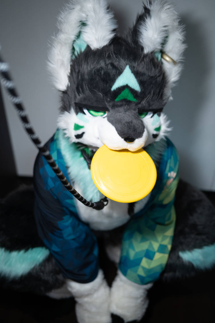 你也想和大狼狼一起玩飞盘嘛~