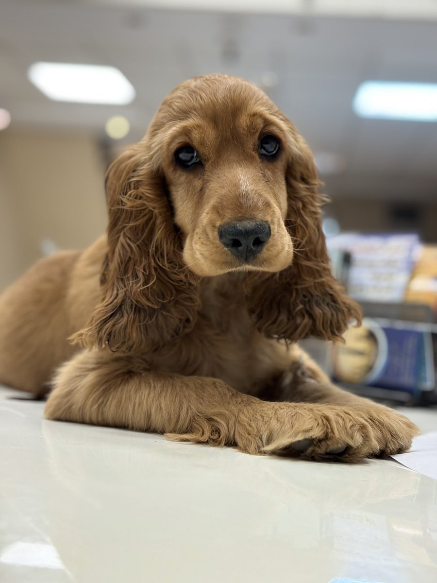 Red_man_HH's tweet image. آبان پارت ۱