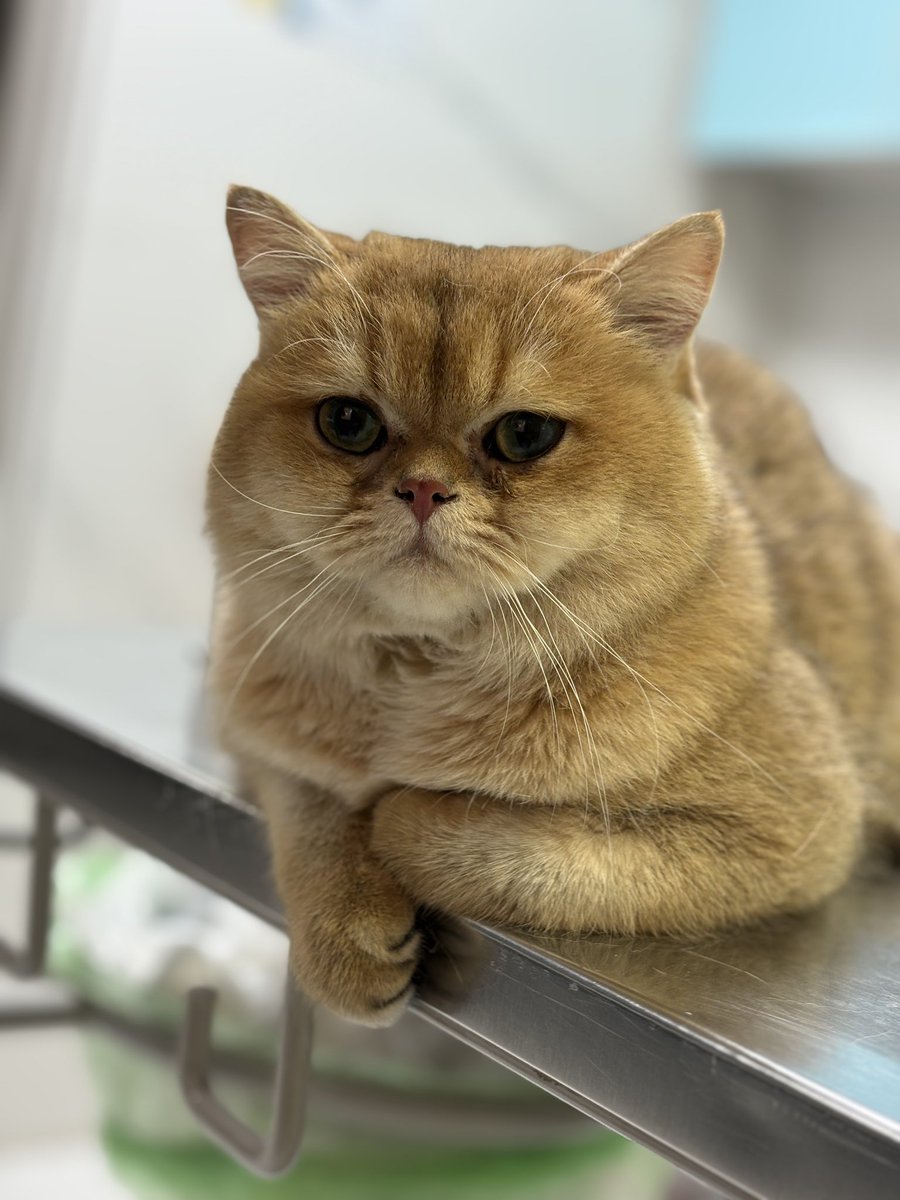 Red_man_HH's tweet image. آبان پارت ۱