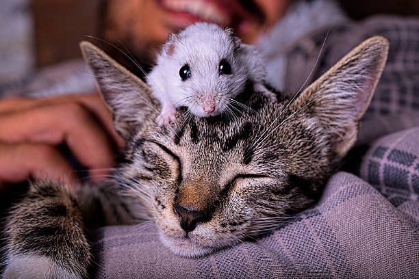 Musingamuse's tweet image. Everywhere I look, I see them….