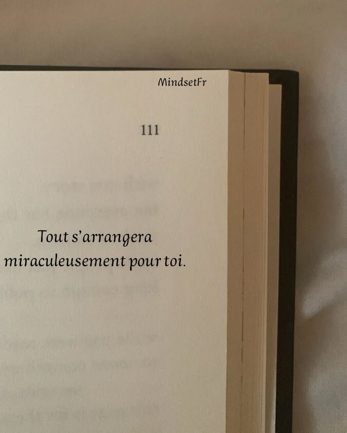Mindset_FR's tweet photo. _____🪶 https://t.co/KcMonlEBIz