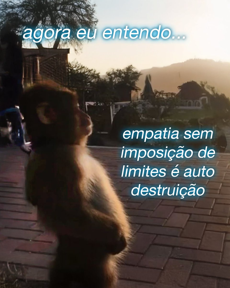 meltedvideos's tweet image. 