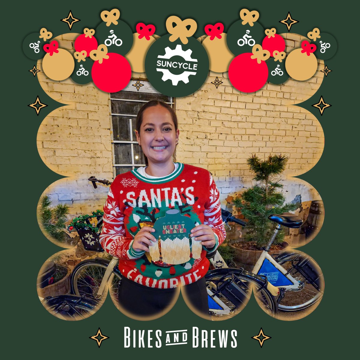 Sun Cycle tweet media