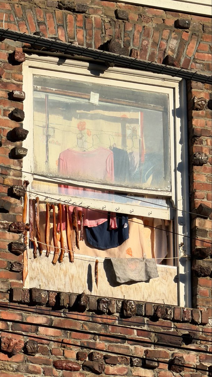 TedsLittleDream tweet media