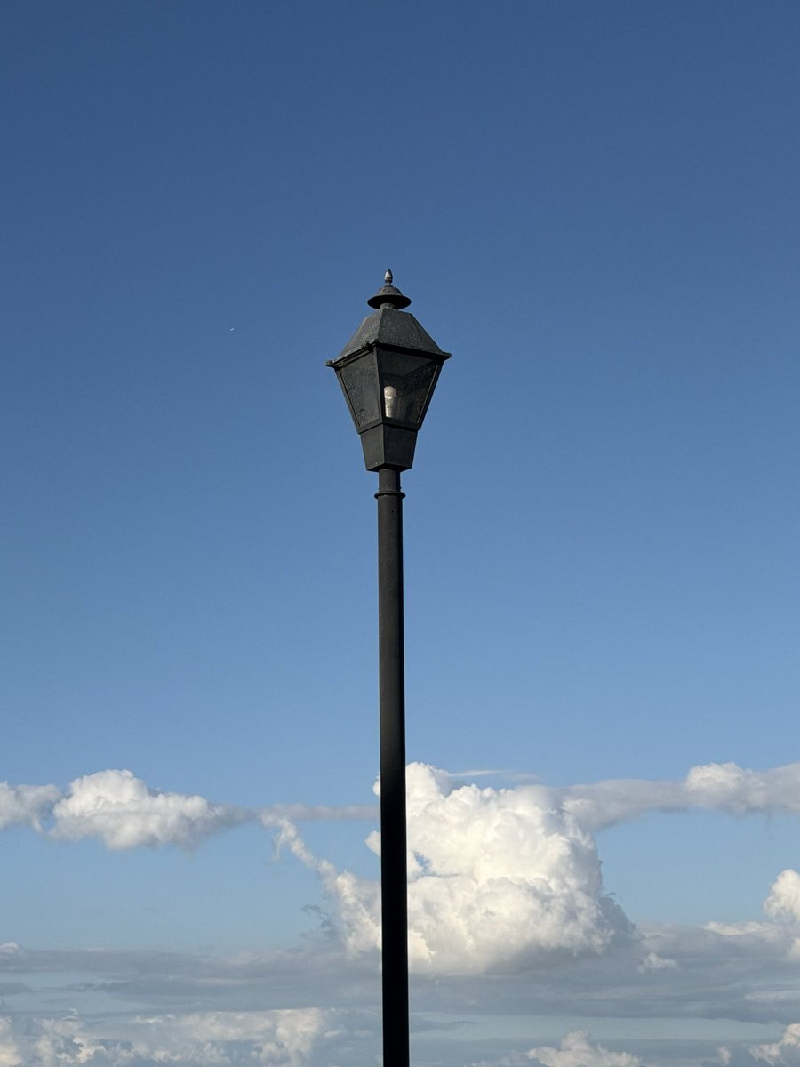 TedsLittleDream tweet media