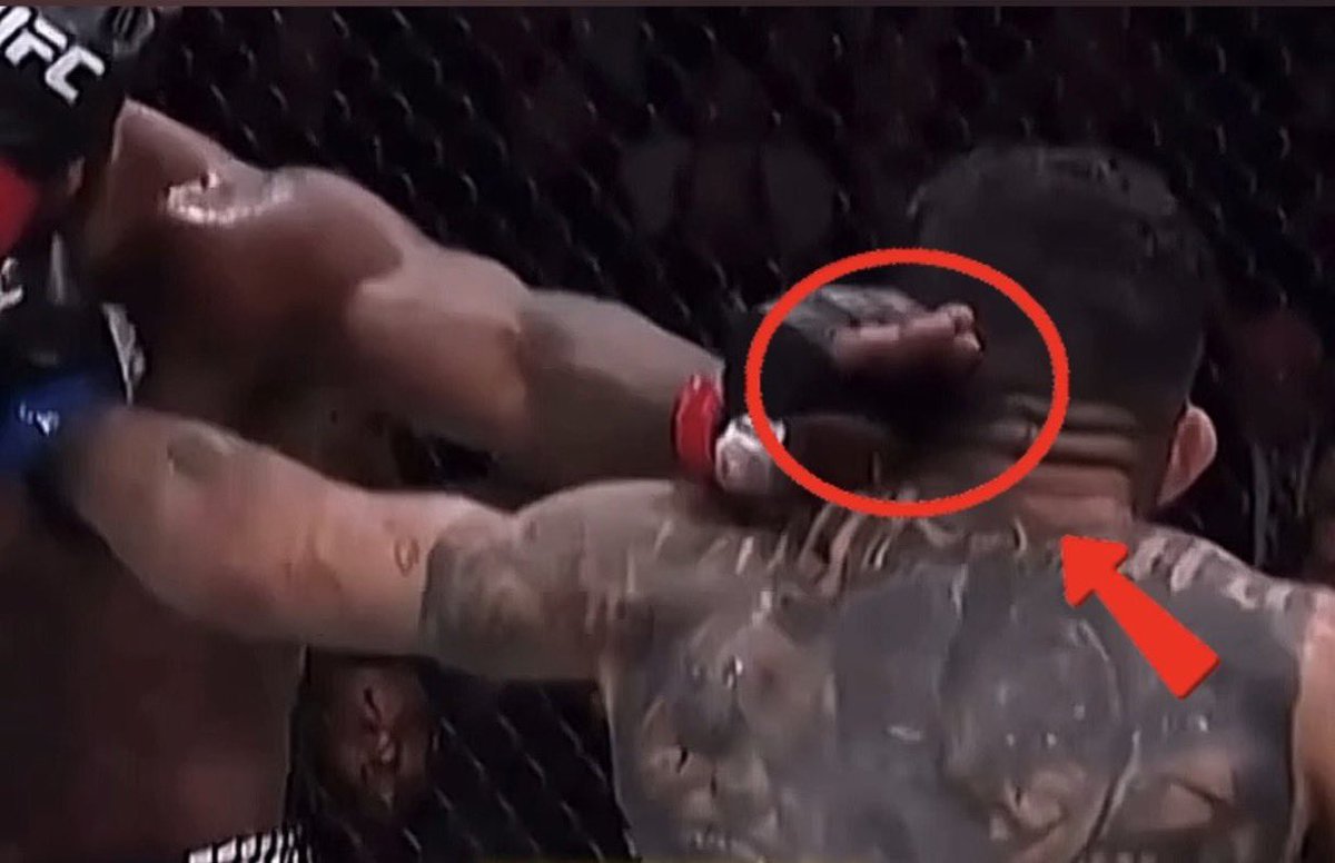 Elonov 🇦🇺 tweet media