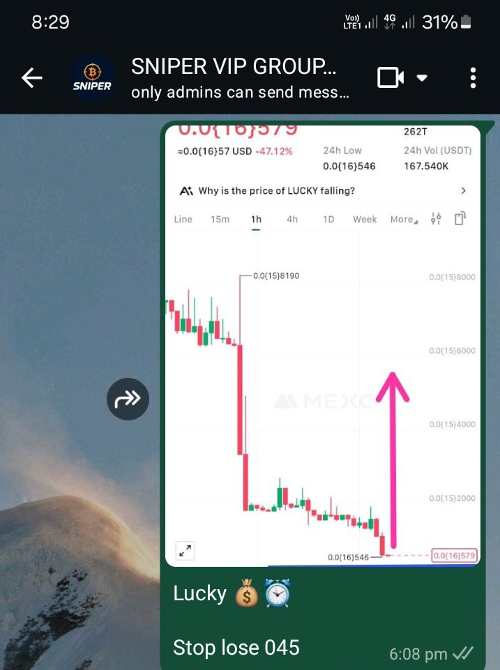 Finisher__'s tweet image. I think #Mexc cartels are back. Now time to search for the next banger.