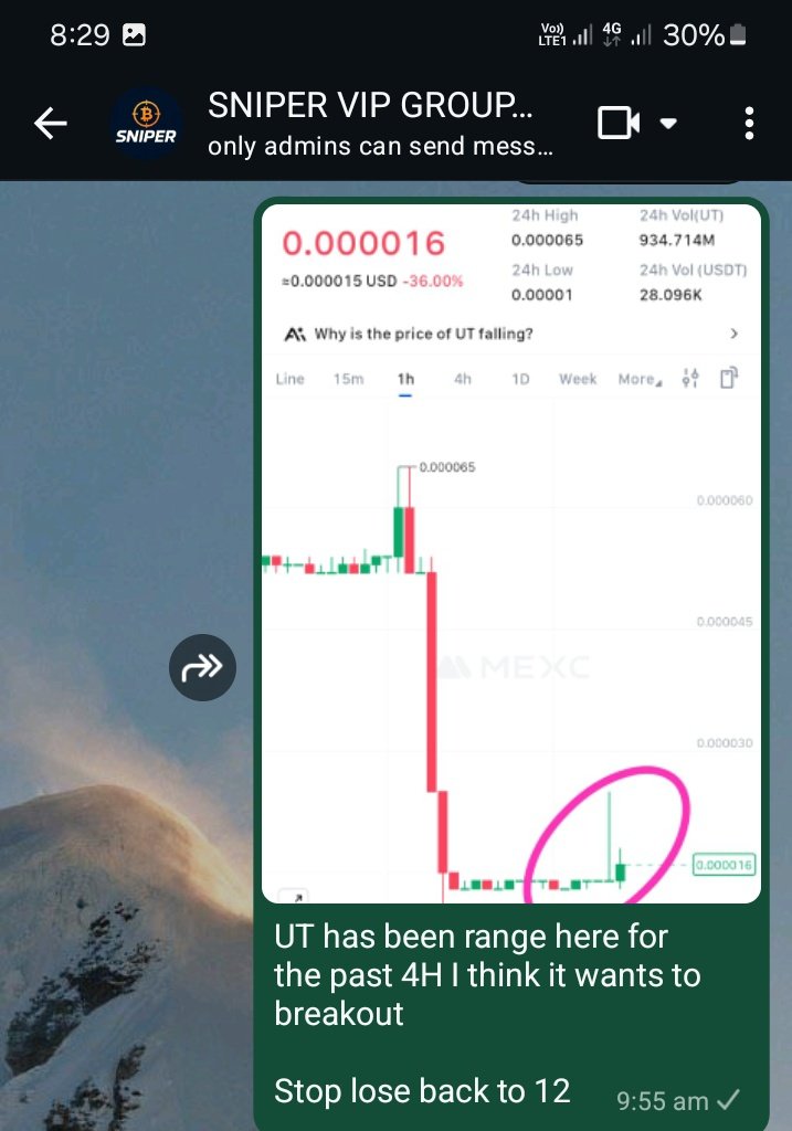 Finisher__'s tweet image. I think #Mexc cartels are back. Now time to search for the next banger.