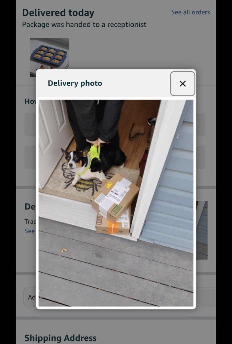 WillyGSkinner's tweet image. When your dog shows up in your @amazon delivery photo.  

My favourite part is in the background where it says package was handed to a receptionist.  

#KillerCorgi #Amazon #AmazonDelivery #Dog