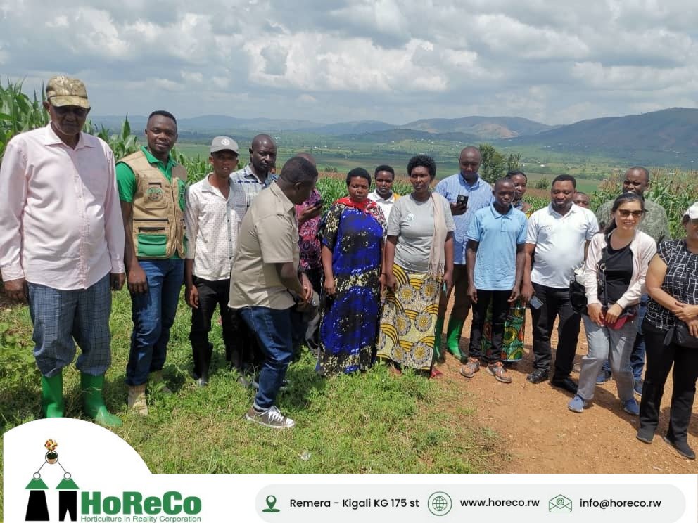 HoReCo_Rw's tweet photo. Today, the @WorldBank delegation visited @NyagatareDistr, including #Kagitumba and #Matimba Lot 5, managed by @HoReCo_Rw. They toured model farms showcasing key 2026A season crops, such as maize, chili, and potatoes, and inspected irrigation infrastructure supporting these farms.
The delegation reviewed farmer development initiatives implemented through the collaboration of CDAT, RAB, and other partners. They also held discussions with KABOKU Cooperative leaders and local farmers, learning about support mechanisms and progress in enhancing productivity, improving livelihoods, and fostering job creation.