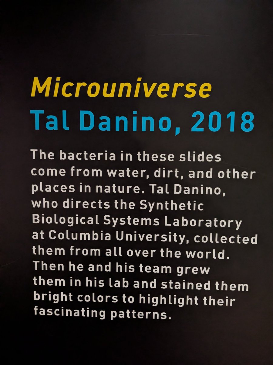 TheRoyalFig's tweet image. Besides the amazing talks and people at #ReactSummitUS and #JSNationUS  is that it&apos;s taking place at the Liberty Science Center. You can visit the exhibits and get real night-at-the-museum vibes.