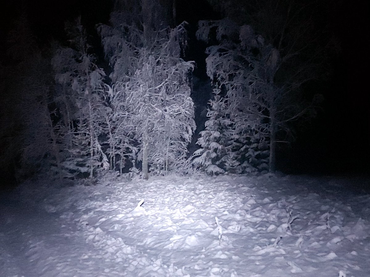 Līgatnē, tur, kur tās avārijas - 11cm sniega sega. <a href="/boms_tricis/">Toms Bricis</a>