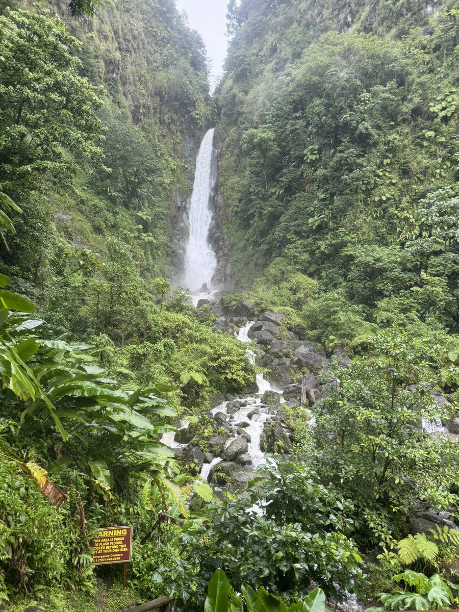 baronlordvader's tweet photo. #Dominica 
#Roseau https://t.co/Mp1MQUQ72F