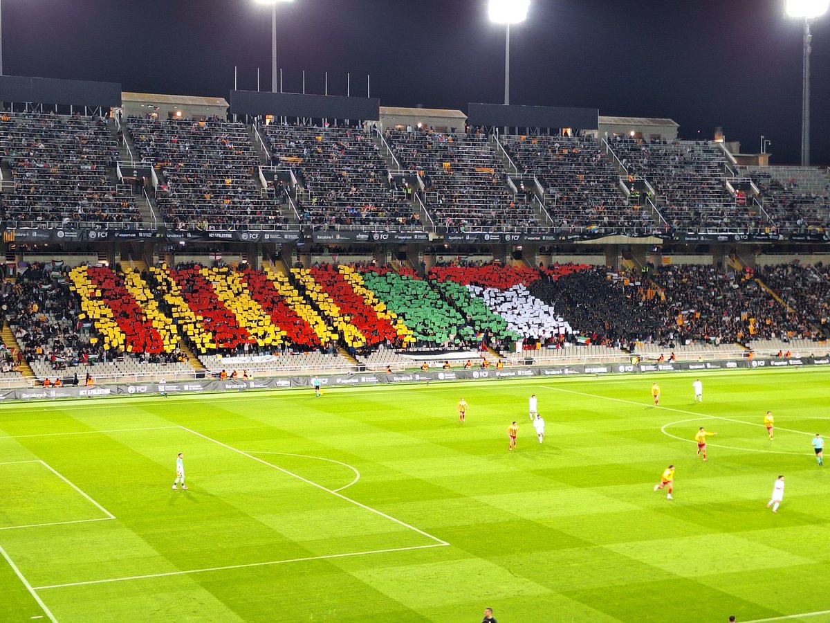 30.018 persones un dimarts laborable. El poble català és realment collonut i quan ho desobreixi, imparable.
Visca Catalunya i Palestina lliures! 💪🏻