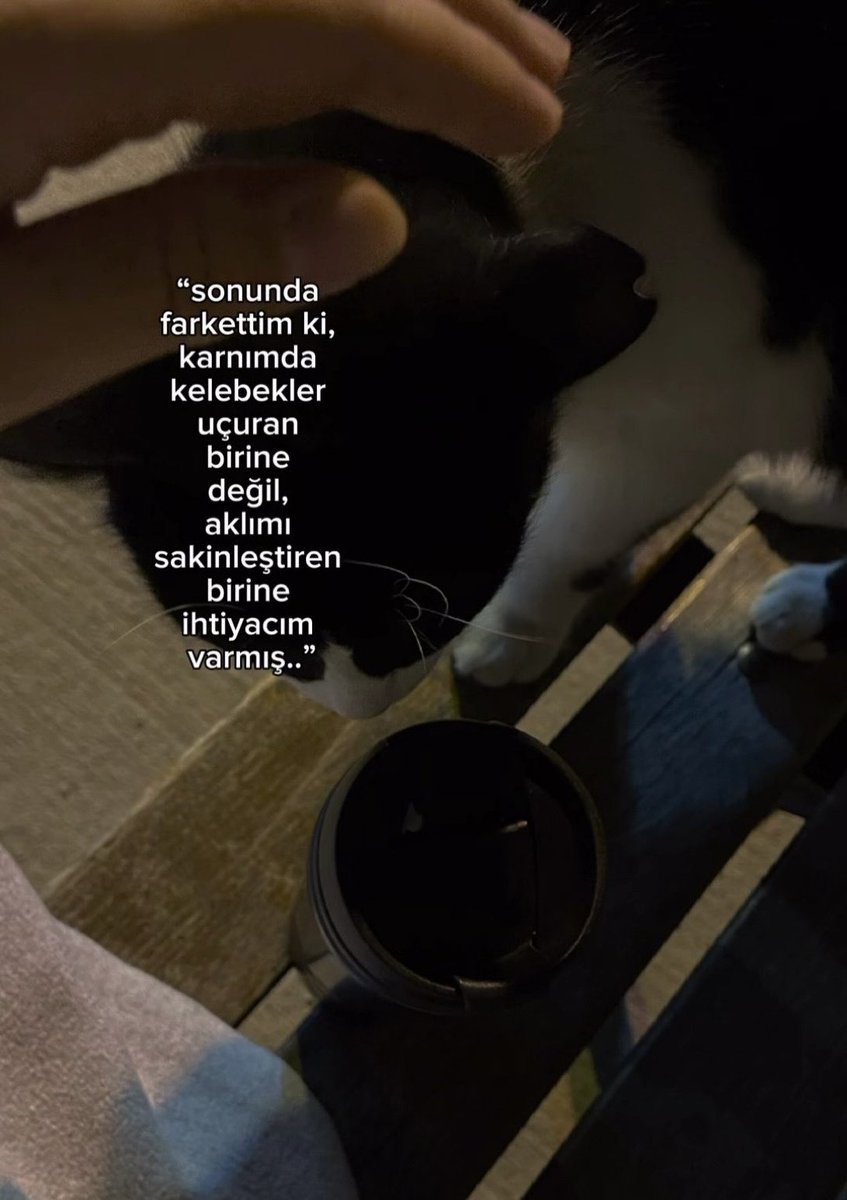 TİMUR ོ (@timurbisakin) on Twitter photo 