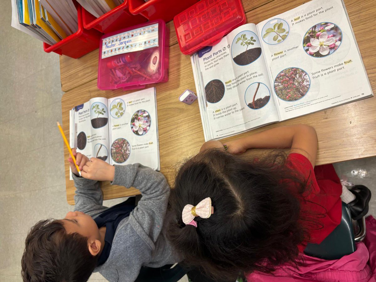 MDCPSSci's tweet image. We are learning about plants, 🌷weathering, erosion, and the infusion of reading in science; making magic at @Sweetwater_Elem and our schools @MDCPS. 

#YourBestChoiceMDCPS 

@AileenVega123 @WendyForteza @DaneMDCPS @NestorEMarcia @MDCPSSTEAM @AcademicsMDCPS @alexsantoyo75