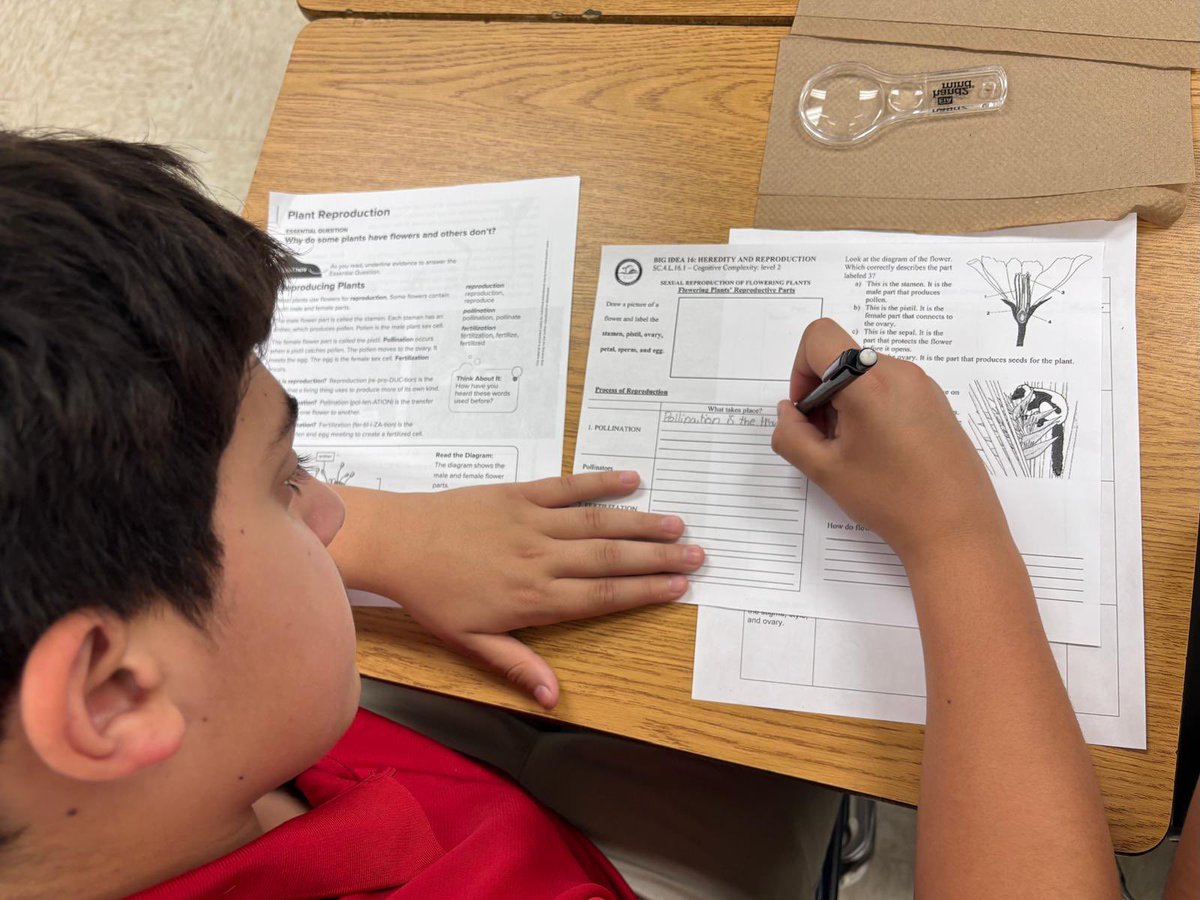 MDCPSSci's tweet image. We are learning about plants, 🌷weathering, erosion, and the infusion of reading in science; making magic at @Sweetwater_Elem and our schools @MDCPS. 

#YourBestChoiceMDCPS 

@AileenVega123 @WendyForteza @DaneMDCPS @NestorEMarcia @MDCPSSTEAM @AcademicsMDCPS @alexsantoyo75