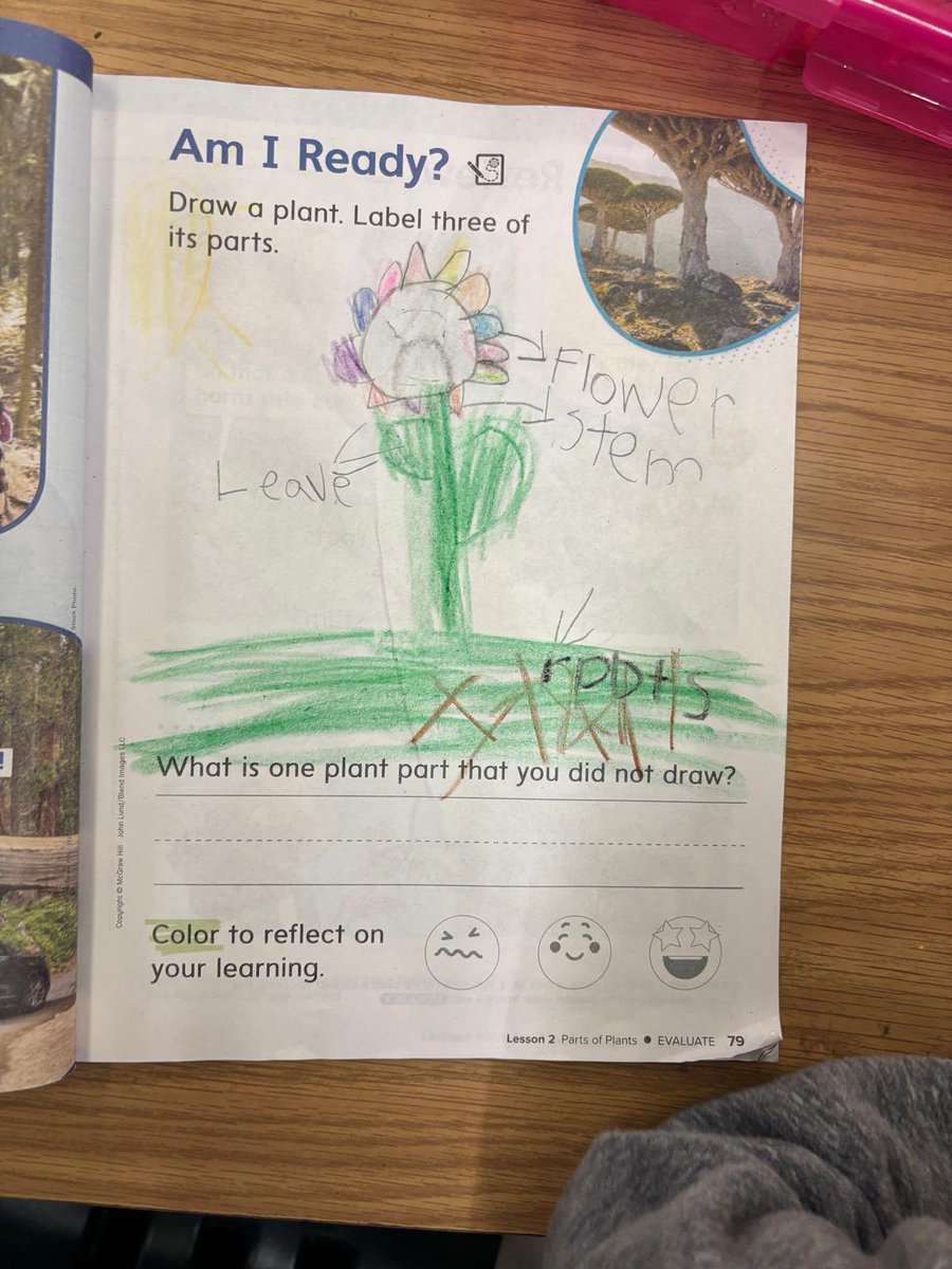 MDCPSSci's tweet image. We are learning about plants, 🌷weathering, erosion, and the infusion of reading in science; making magic at @Sweetwater_Elem and our schools @MDCPS. 

#YourBestChoiceMDCPS 

@AileenVega123 @WendyForteza @DaneMDCPS @NestorEMarcia @MDCPSSTEAM @AcademicsMDCPS @alexsantoyo75