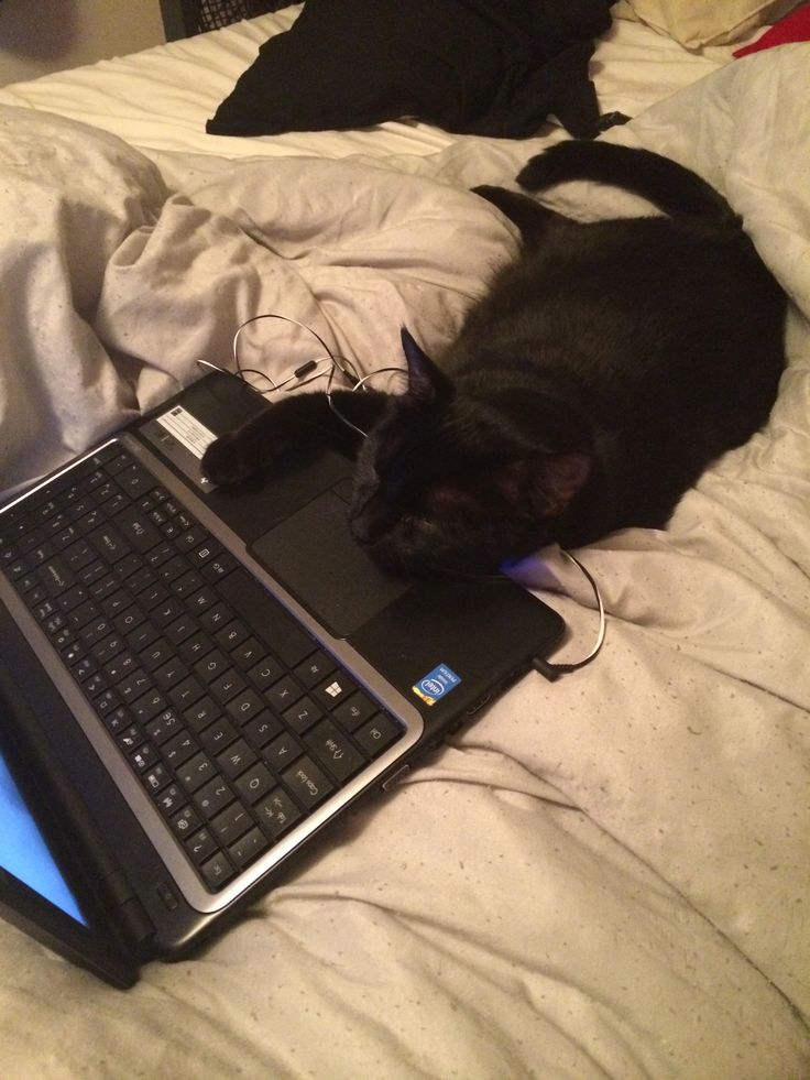 barryskalski's tweet image. I&apos;m back on Twitter - hello, world 🌍
I disappeared for a while, but I&apos;m back now with big plans.
#back #blogs