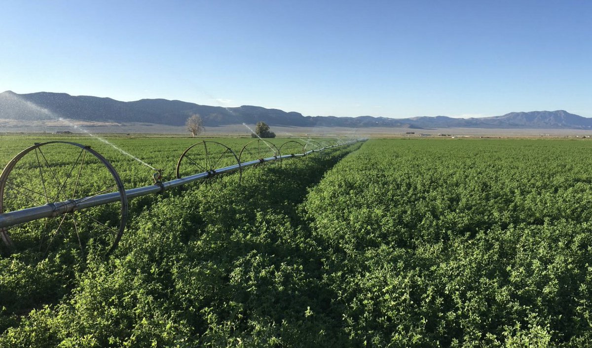 TIP TUESDAY USU Extension recently wrote a report defining and estimating depletion for the purpose of water right applications in regards to water optimization Utah. Read the full report.

waterrights.utah.gov/Library/Misc_R…